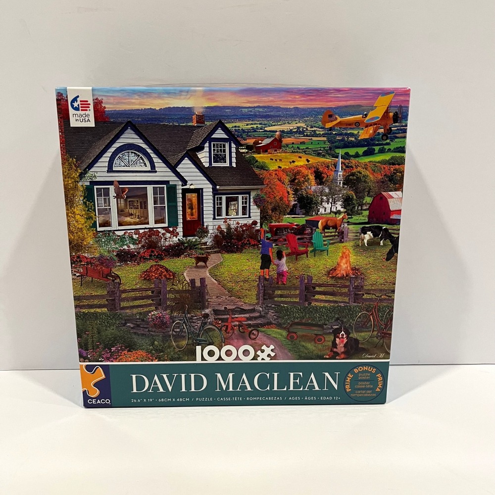 Ceaco Jigsaw Puzzle - The Fly By - David Maclean 1000 Piece with Bonus Poster